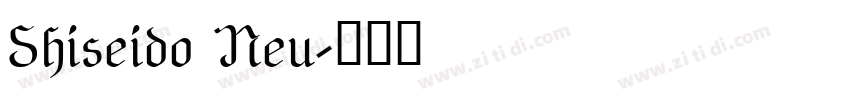 Shiseido Neu字体转换